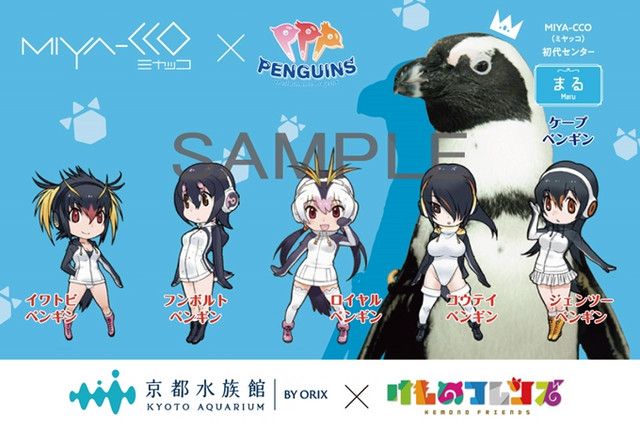 Kemono Friends Ppp Collaborates With Real Penguin Idol Unit In Kyoto Aquarium Hokagestorez