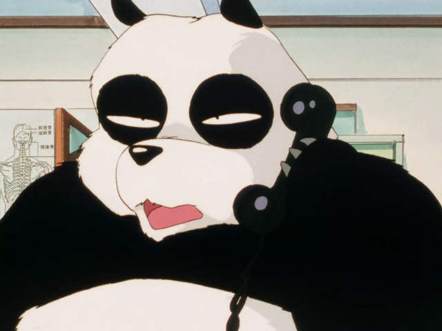 Genma Saotome, a martial artist afflcted with a curse that transforms him into a panda when splashed with cold water, attempts to answer the phone.