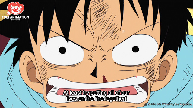 Luffy Disagrees with Vivi