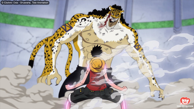 Lucci and Luffy