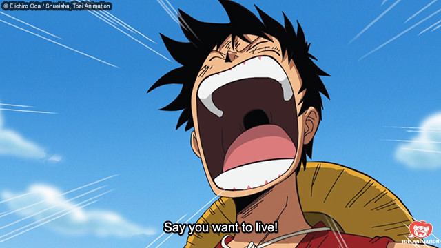 Luffy Declares War
